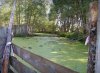 jungle-08.jpg