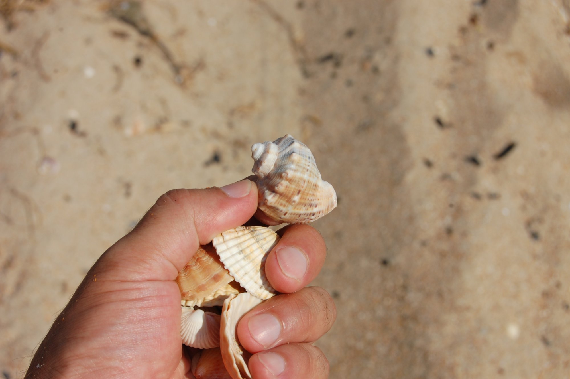 DSC_0326.JPG