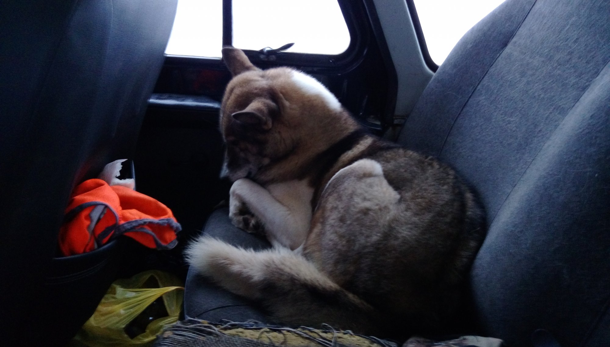 IMAG0508.jpg