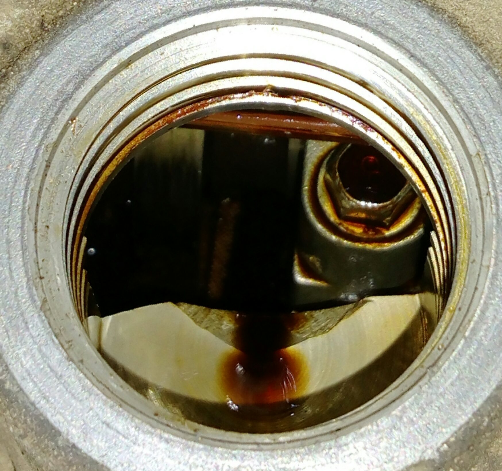 IMAG0941_1.jpg