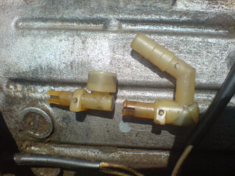 dsc09911.jpg