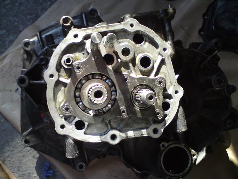 e70f3ba19063.jpg