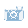 48981605.gif