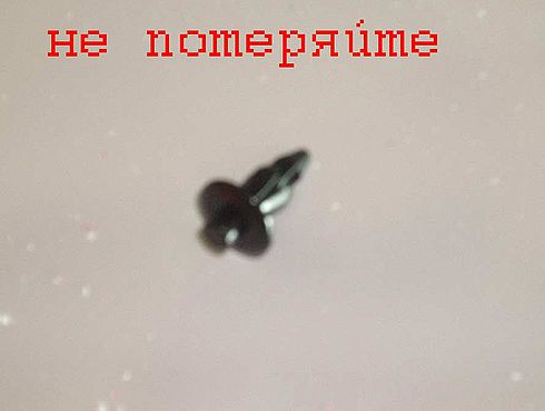 37124867.jpg