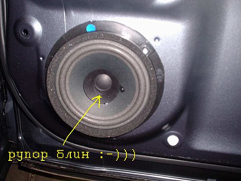 37124805.jpg