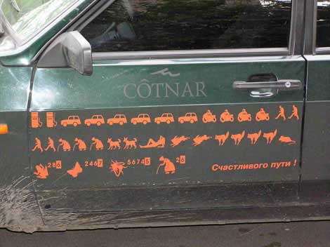 37917448.jpg