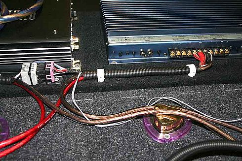 49084046.jpg