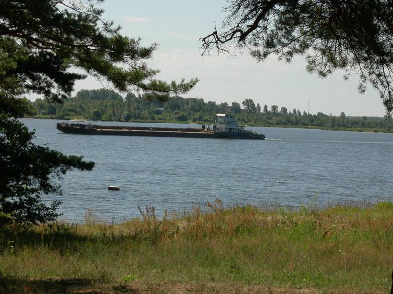 817650.jpg