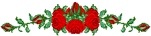 aacca95953964cf777d274de92cb32cd.gif