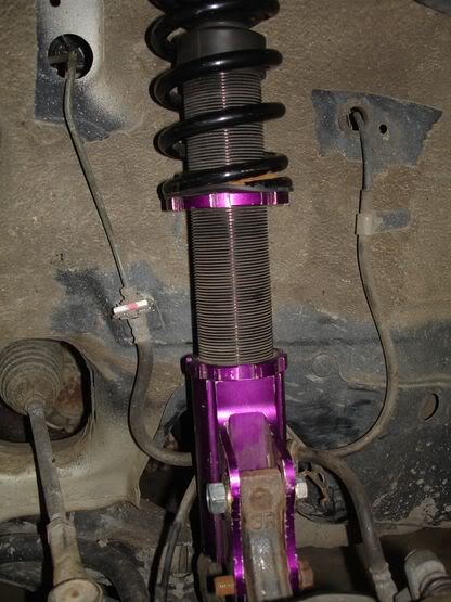 subarucoiloversonliana.jpg
