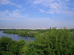 56919587.jpg