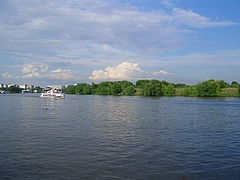 56919594.jpg