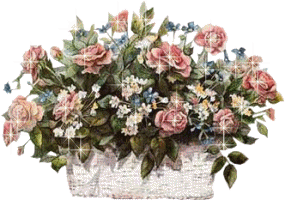 00ff0aa5082c4a37a6528a90b7bd7683.gif