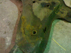 08032009036.jpg
