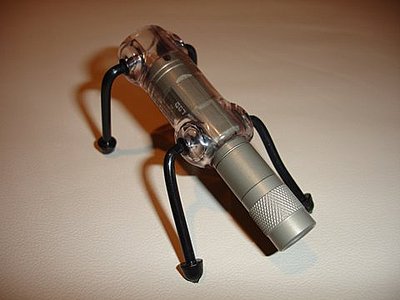 833216.jpg