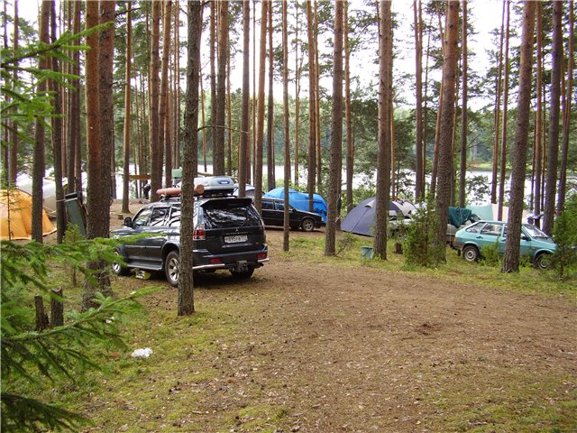 a10f3c985039.jpg