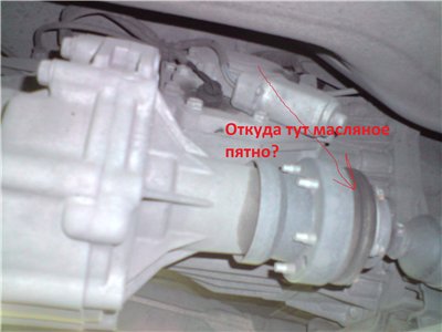 803c4bb9df7e.jpg