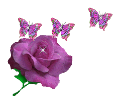 54c813bdbaa63eb64090cd4ce84fe1e0.gif