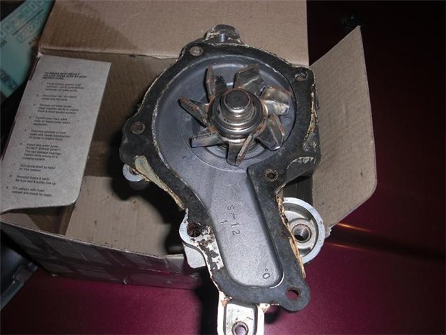 d829ba6de0af.jpg