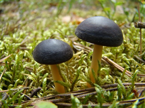 0_10b12_f187f534_L.jpg