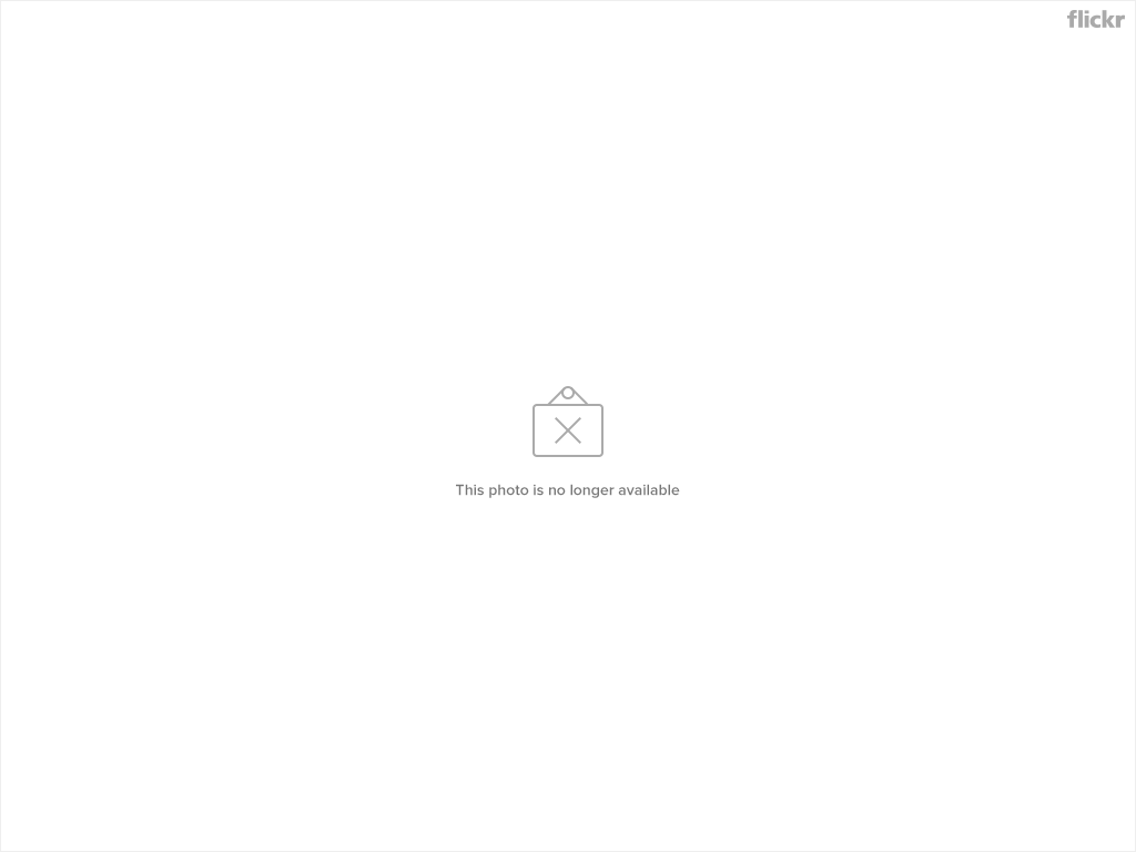 3058672173_c74c6a8dce_o.png