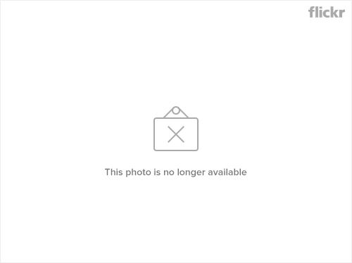 4078297472_d93ce9a764.png
