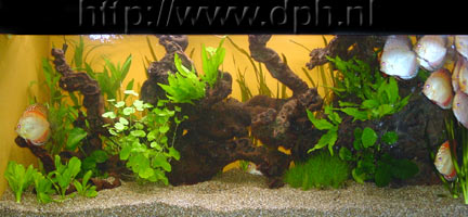 tank0101.jpg