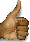 100px-The_Thumbs-up_position.jpg