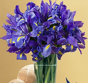 blue%20Iris%20bouquet.jpg
