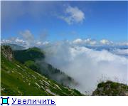 bd8a39123f82t.jpg