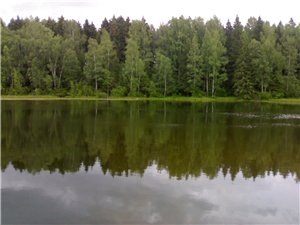 43e5429e5f03.jpg