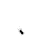 56004846.gif