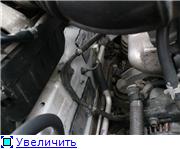 177bd92dde73t.jpg