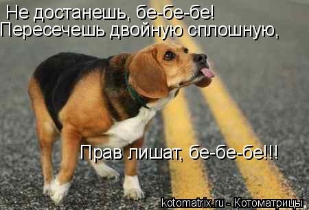x_4a793346.jpg