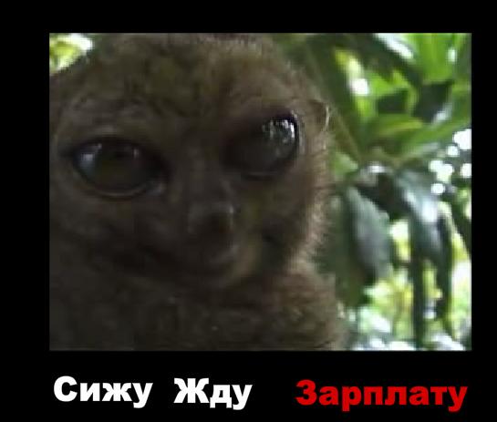1198244077_zp.jpg