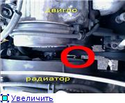 18339bd5259at.jpg
