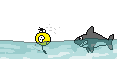 s0145.gif