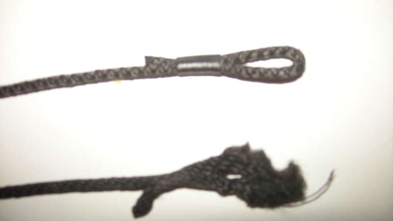 DSCN9371.jpg