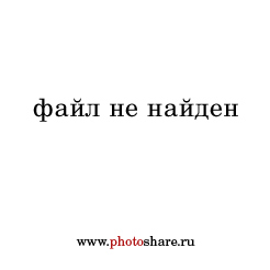 photoshare.ru-4113281.jpg