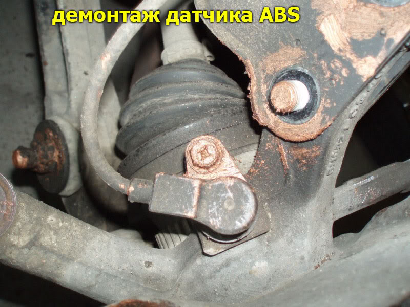 WB12.jpg