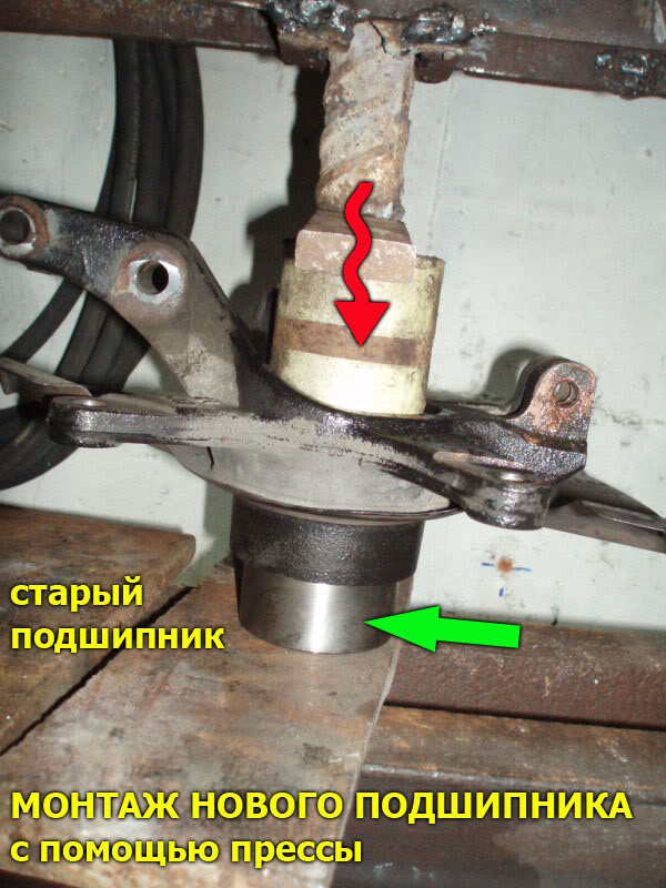 WB25.jpg