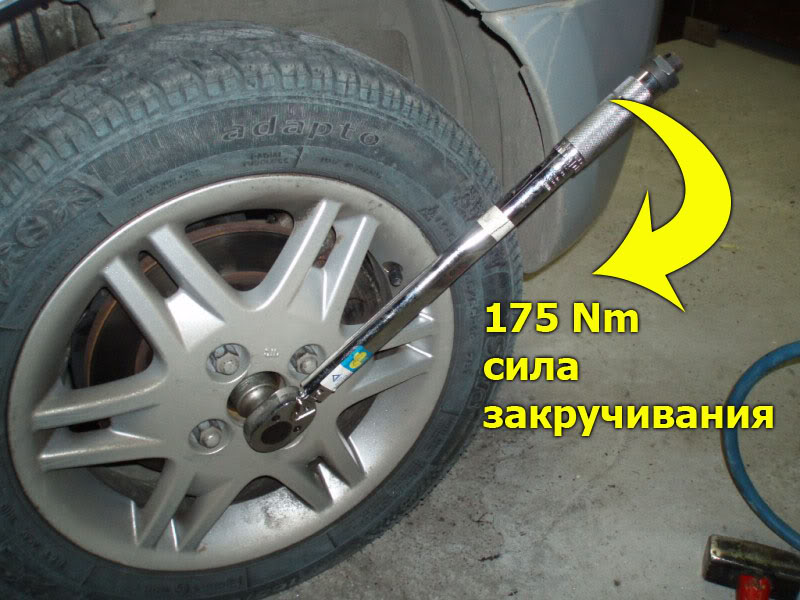 WB31.jpg