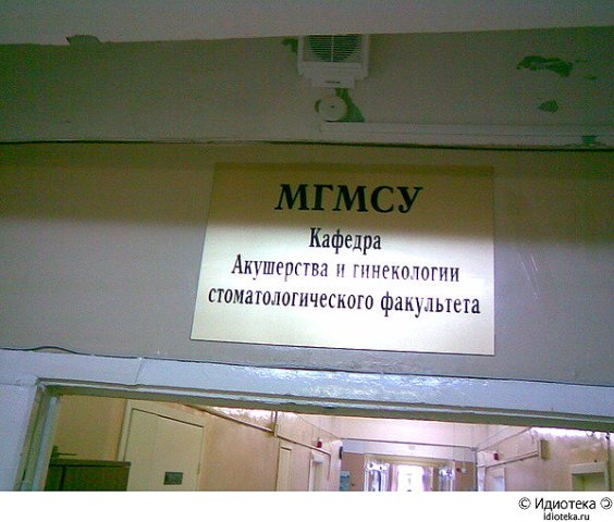 f1dd236f68c84b10521edefc72715d68.jpg