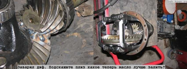 t_pl1071012.jpg