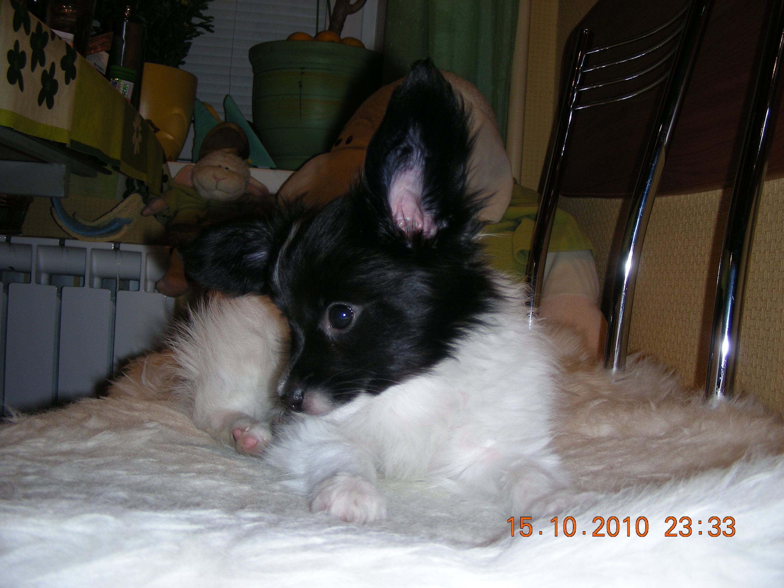 DSCN5701.jpg