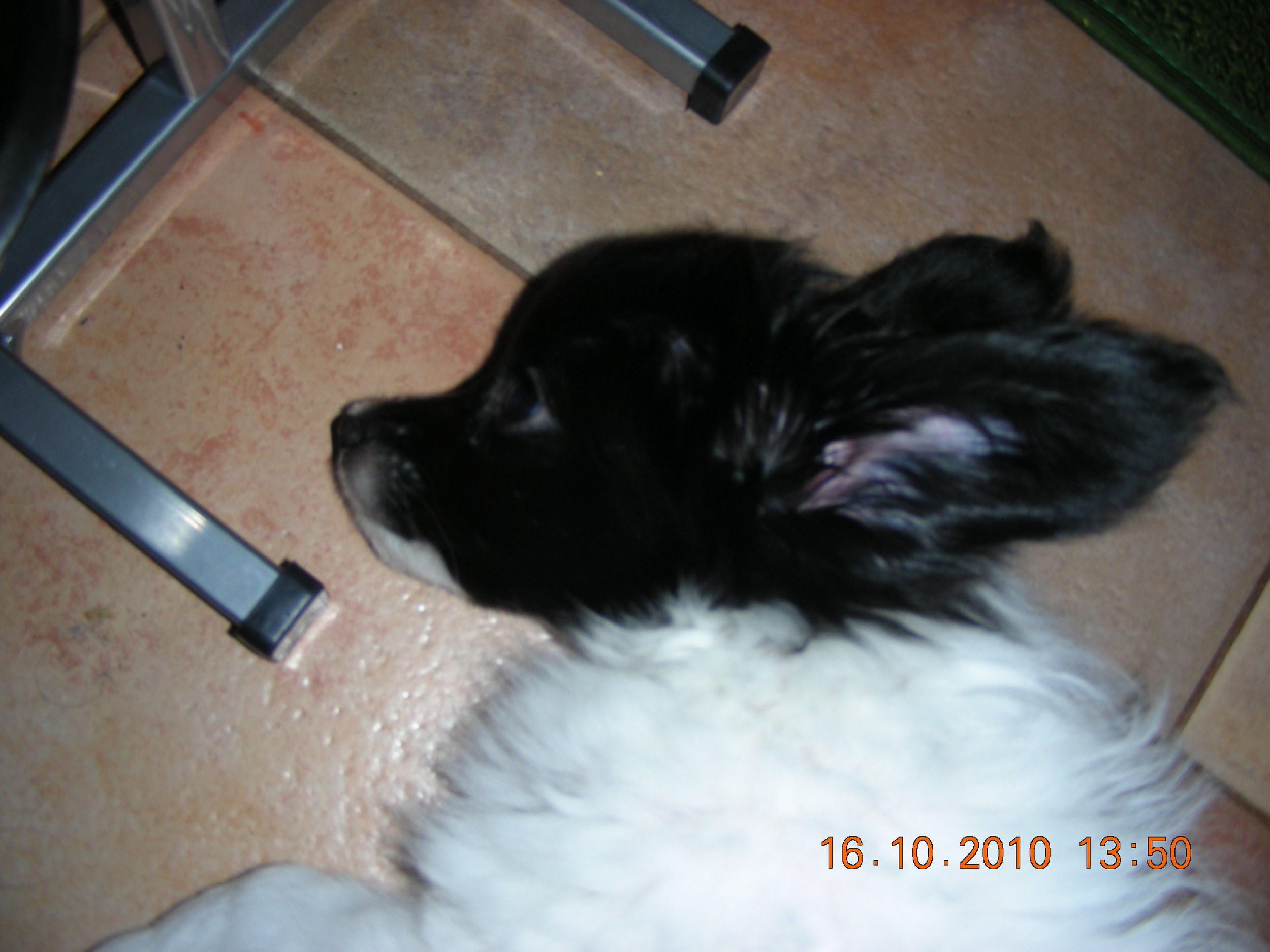 DSCN5703.jpg