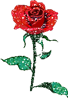 bc882d7673b59cd4b5241b010a54a78d.gif