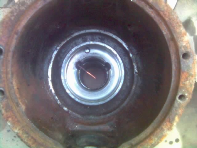 c51211e9ab19.jpg