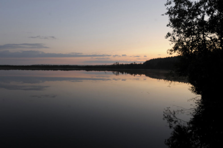 214132--34845276-m750x740.jpg