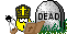 d0cf3507afd3f272f705ed19196fc44a.gif